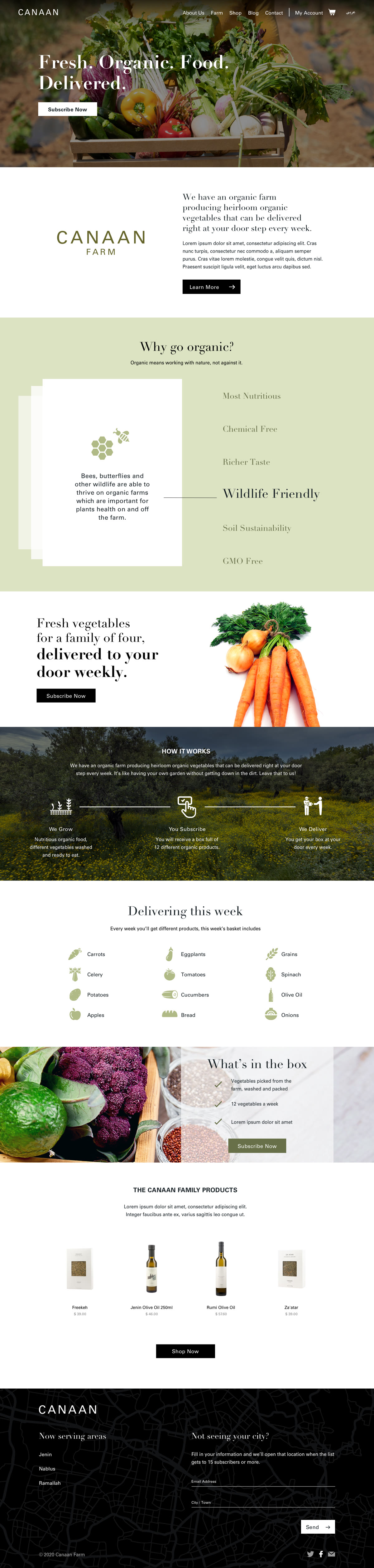 Homepage design for Canaan, shown from the top of the page